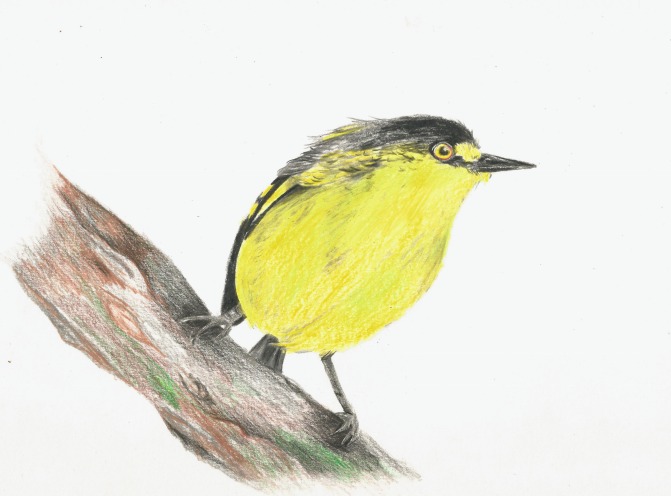 0396e644 6ef7 4b5c b038 4f3cd86dc41b