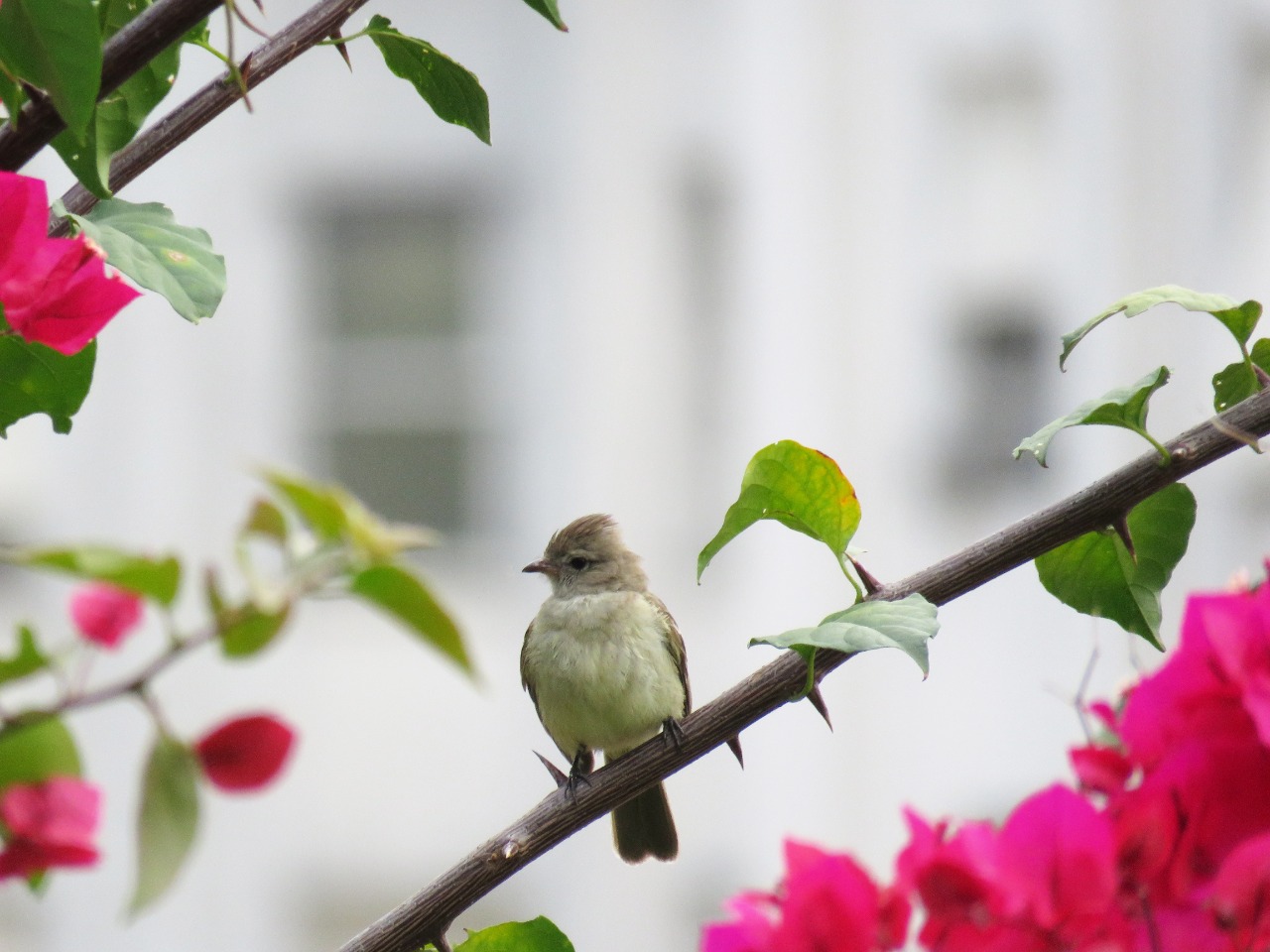 054d2804 c7e9 469d bd32 fe8ced2fd124