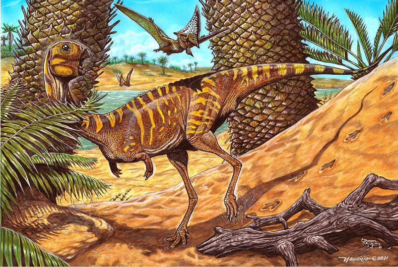 BERTHASAURA LEOPOLDINAE, no oásis que era Cruzeiro do Oeste há 115 milhões de anos - ARTE: MAURILIO OLIVEIRA WhatsApp Image 2021 12 03 at 18.40.071