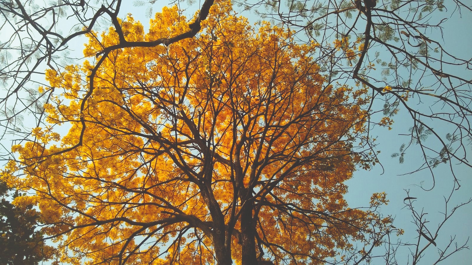 WhatsApp Image 2023 08 31 at 18.53.46