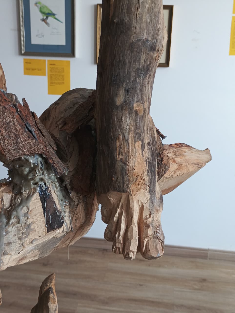 WhatsApp Image 2026 03 19 at 14.57.33