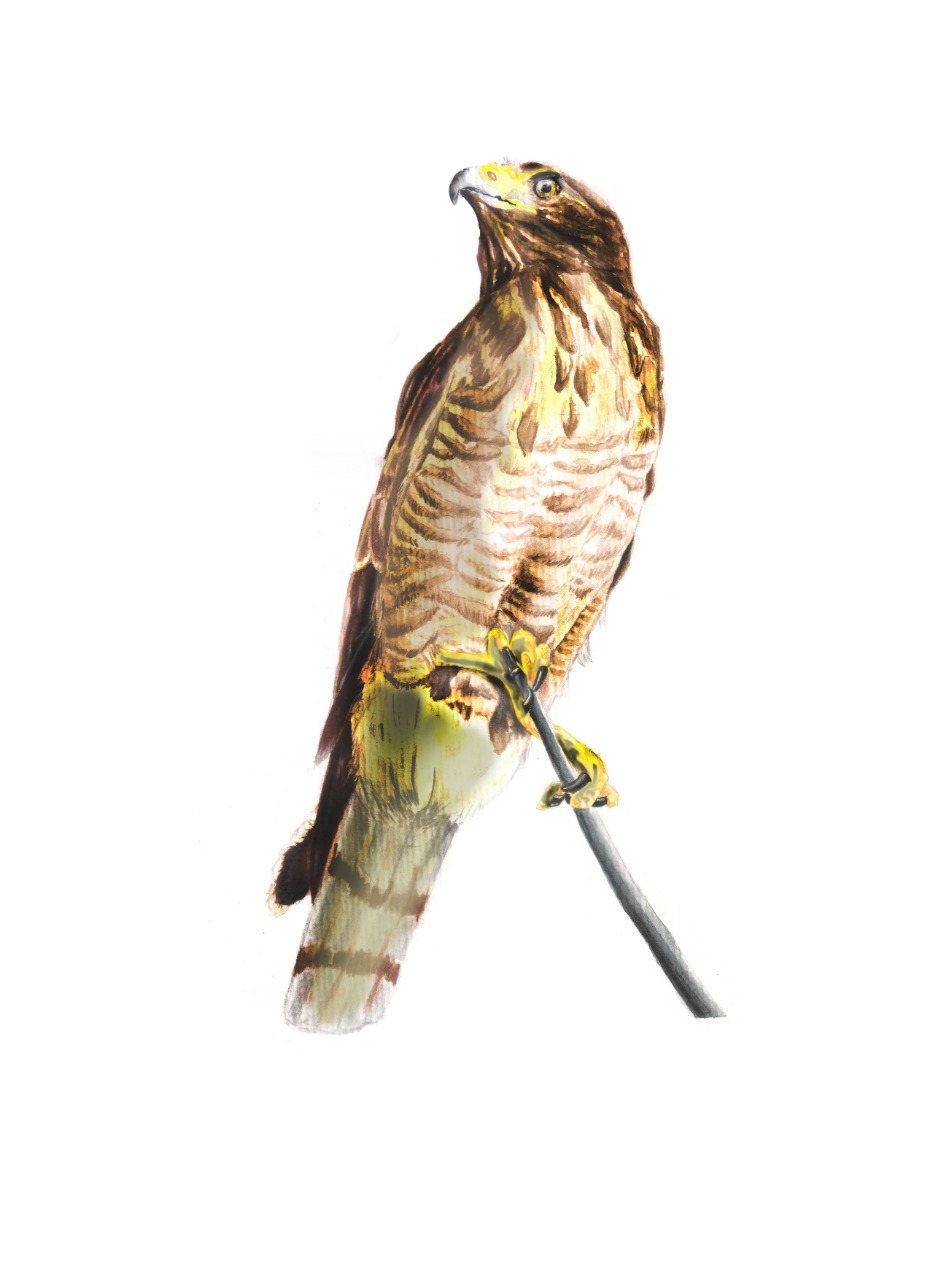 e81f493e e723 4606 b2c1 4d8133647c81